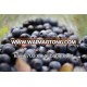 good taste organic blackberries/individual quick frozen blueberries