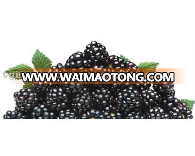 Georgia IQF Whole Frozen Blackberry