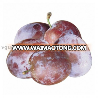 IQF FROZEN PLUM